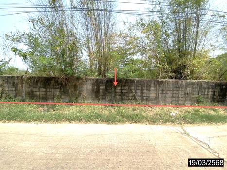 picture LAND for sale  Kalasin Muang Kalasin Kalasin - 11/14