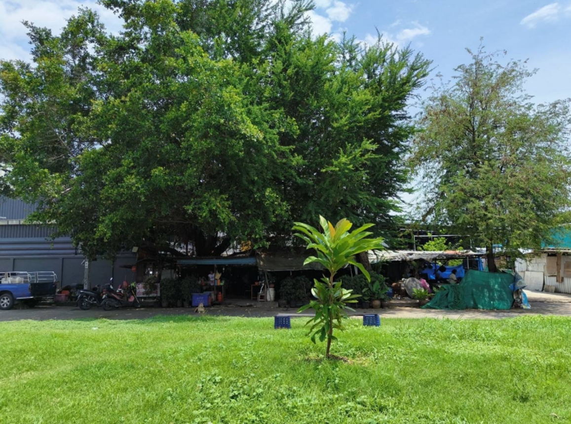 รูป โกดัง สำหรับขาย  บ้านใหม่ ปากเกร็ด นนทบุรี - รูปที่ 6/10