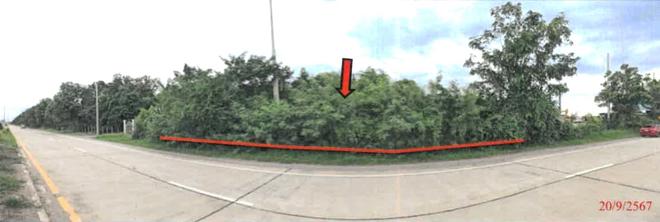 picture LAND for sale  Rua Yai Muang Suphanburi Suphanburi - 1/14