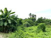 listing thumbnail image 26