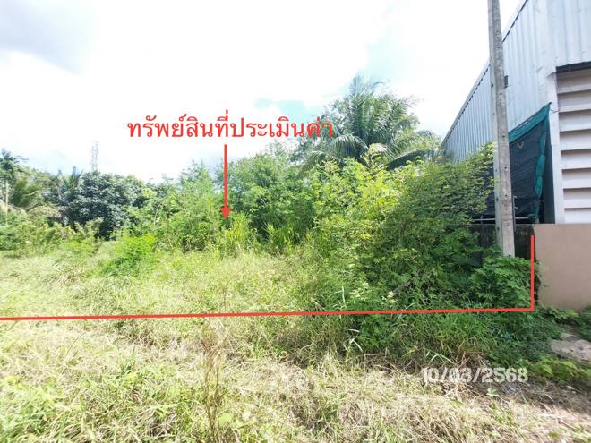 รูป บ้านเดี่ยว สำหรับขาย - วัดประดู่ เมืองสุราษฎร์ธานี สุราษฎร์ธานี - รูปที่ 8/26
