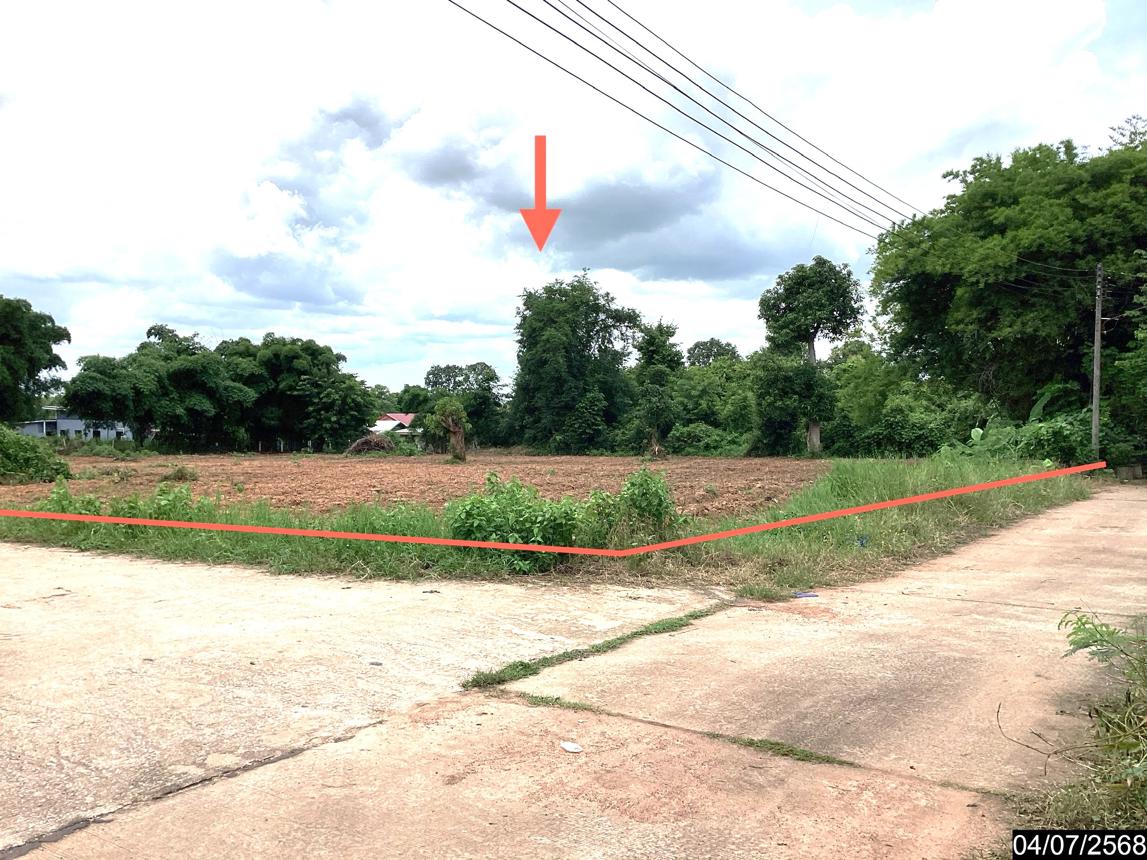 รูป ที่ดินว่างเปล่า สำหรับขาย - นาดี เมืองอุดรธานี อุดรธานี - รูปที่ 14/26