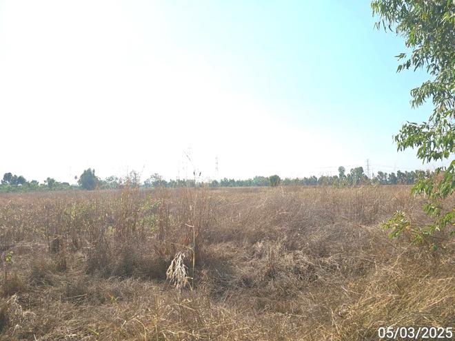 picture LAND for sale  Mae Raka Wang Thong Phitsanulok - 3/14