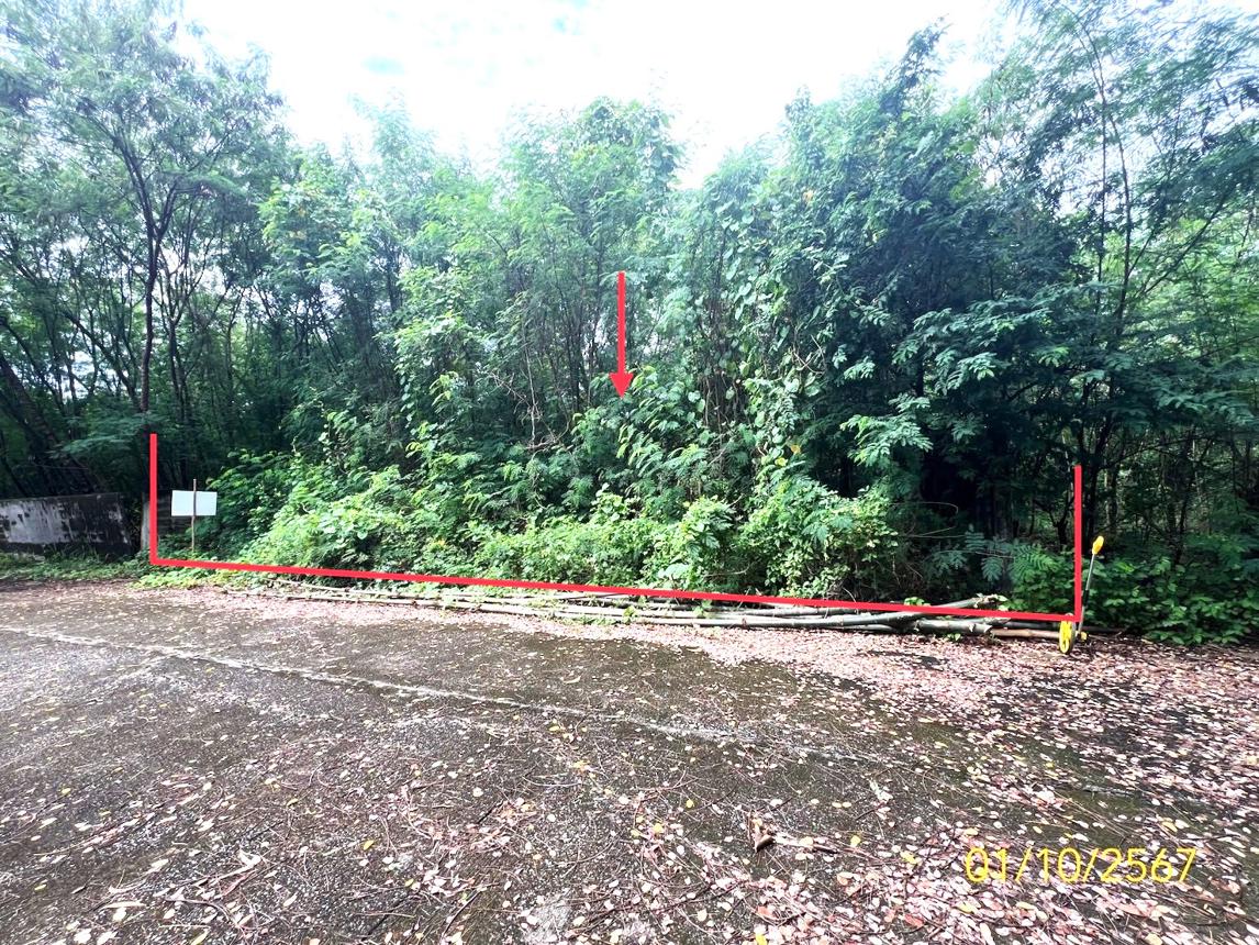 รูป ที่ดินว่างเปล่า สำหรับขาย - รังสิต ธัญบุรี ปทุมธานี - รูปที่ 8/18