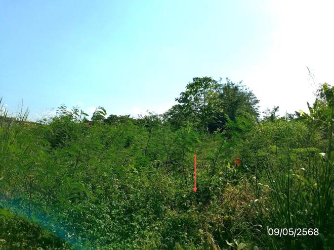 รูป ที่ดินว่างเปล่า สำหรับขาย - รอบเวียง เมืองเชียงราย เชียงราย - รูปที่ 8/22