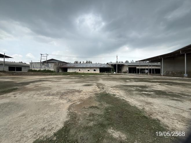 รูป อาคารโรงงาน สำหรับขาย - ปากช่อง ปากช่อง นครราชสีมา - รูปที่ 30/72