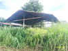 listing thumbnail image 32