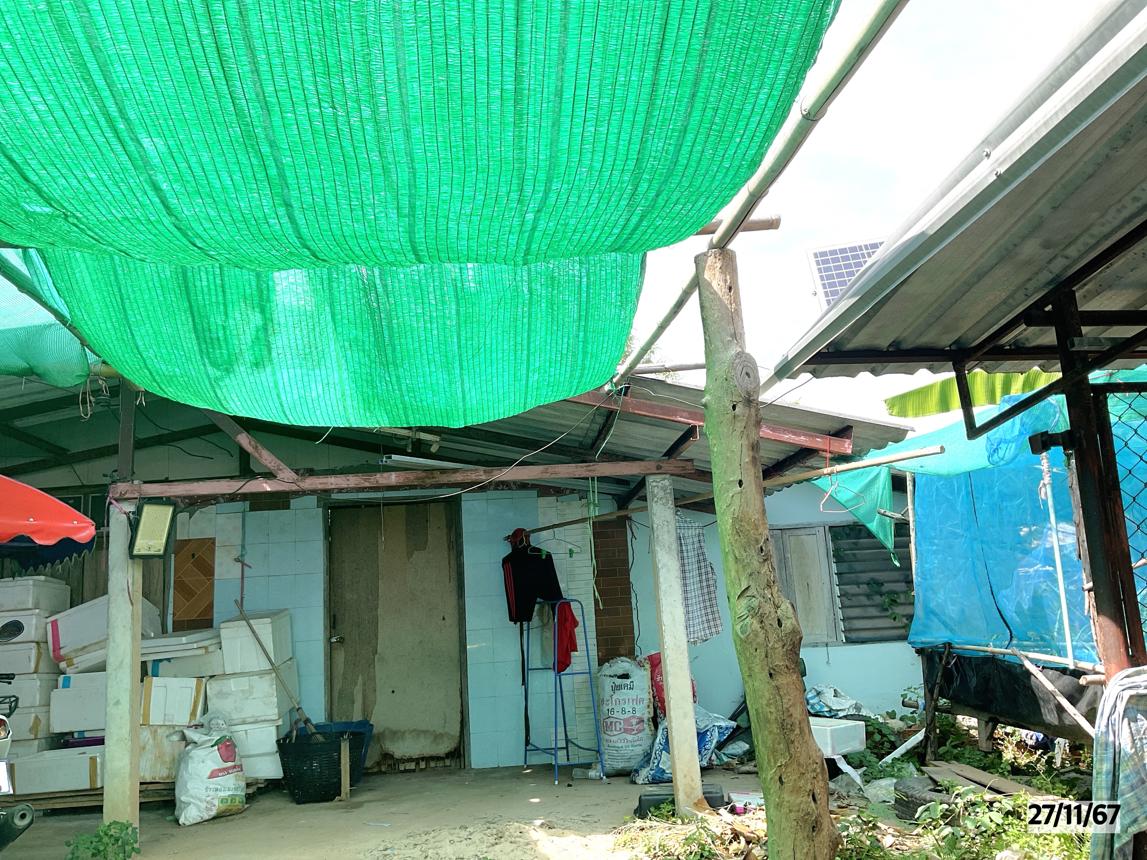 รูป บ้านเดี่ยว สำหรับขาย - โอโล ภูเขียว ชัยภูมิ - รูปที่ 11/16
