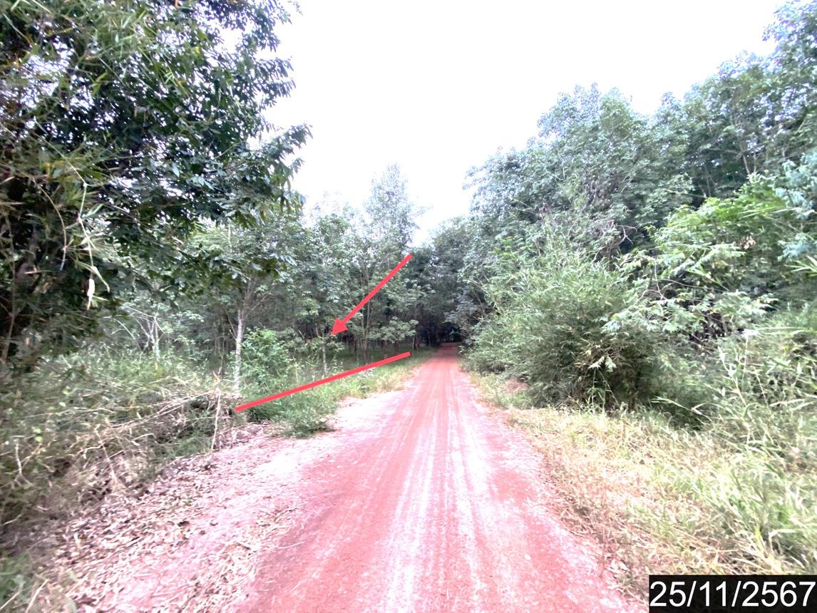 รูป ที่ดินว่างเปล่า สำหรับขาย - ขอนยูง กุดจับ อุดรธานี - รูปที่ 19/24