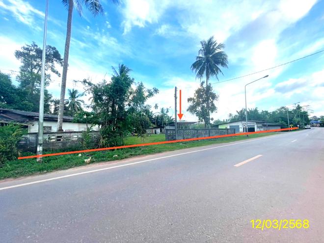 picture HOME for sale  Khok Muang Khao Chaison Phatthalung - 1/40
