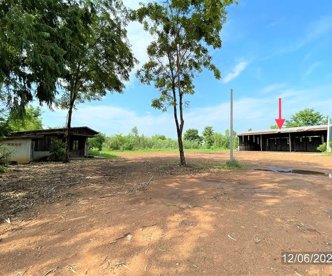 รูป โกดัง สำหรับขาย - บ้านโภชน์ หนองไผ่ เพชรบูรณ์ - รูปที่ 2/32