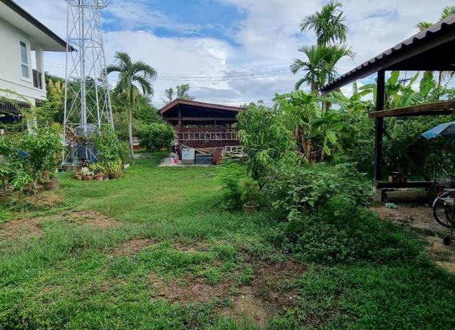 picture HOME for sale  Pa Phai San Sai Chiang Mai - 4/24