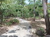 listing thumbnail image 6