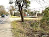listing thumbnail image 16
