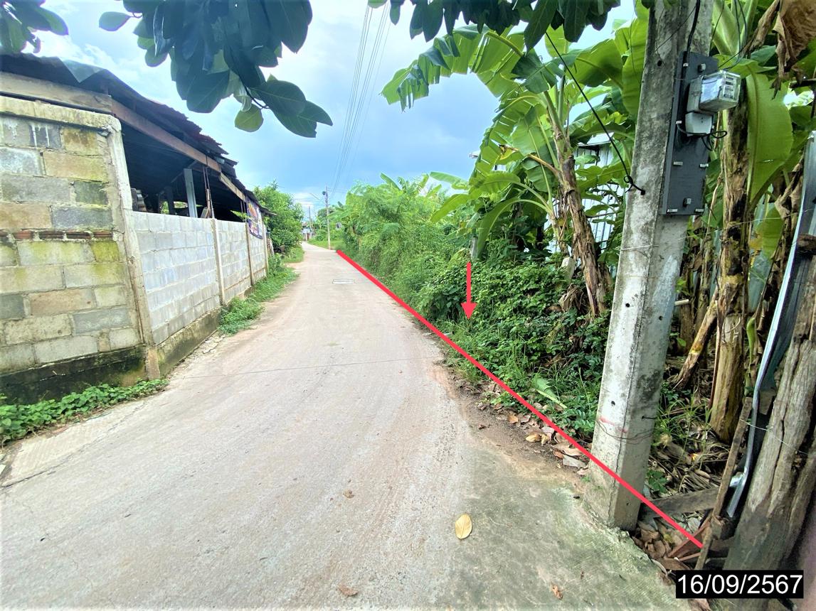 picture LAND for sale  Nai Muang Muang Khon Kaen Khon Kaen - 12/22