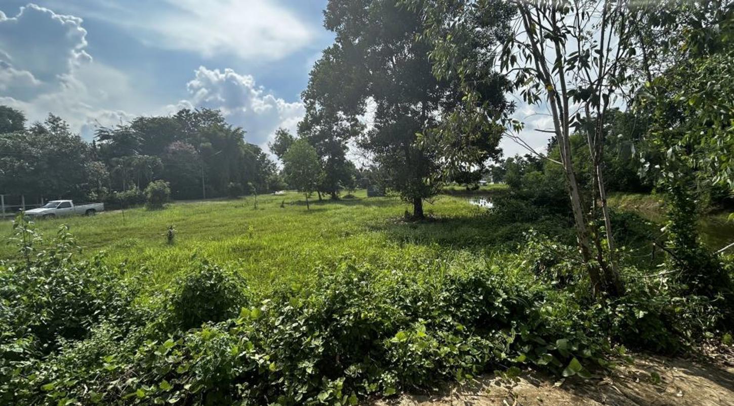 picture LAND for sale  Sa Kaeo Muang Sa Kaeo Srakaeo - 7/14