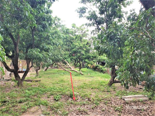 รูป บ้านเดี่ยว สำหรับขาย - มะกอก ป่าซาง ลำพูน - รูปที่ 12/34