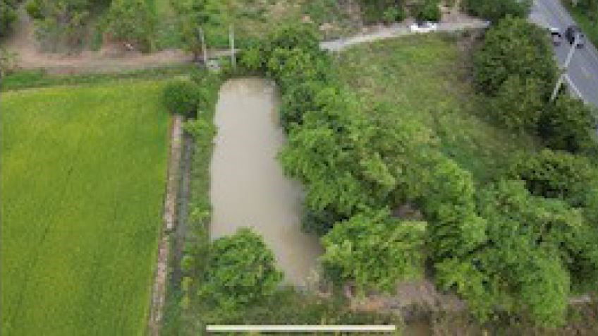 picture LAND for sale  Pho Phraya Muang Suphanburi Suphanburi - 7/14