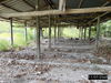 listing thumbnail image 55