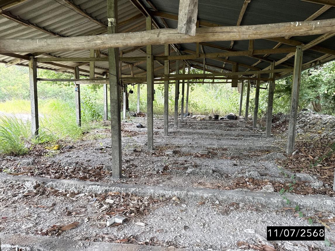 picture FACTORY for sale  Ban Han Kaset Sombon Chaiyaphum - 56/60