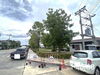 listing thumbnail image 12