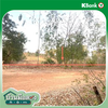 listing thumbnail image 15