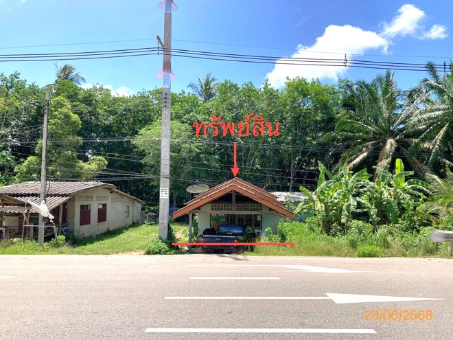 รูป บ้านเดี่ยว สำหรับขาย - ไทรทอง ชัยบุรี สุราษฎร์ธานี - รูปที่ 1/24