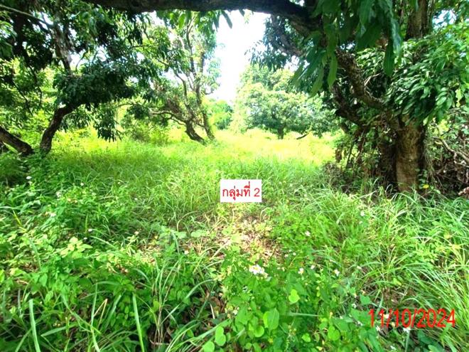 รูป บ้านเดี่ยว สำหรับขาย - หนองปลาสะวาย บ้านโฮ่ง ลำพูน - รูปที่ 13/30
