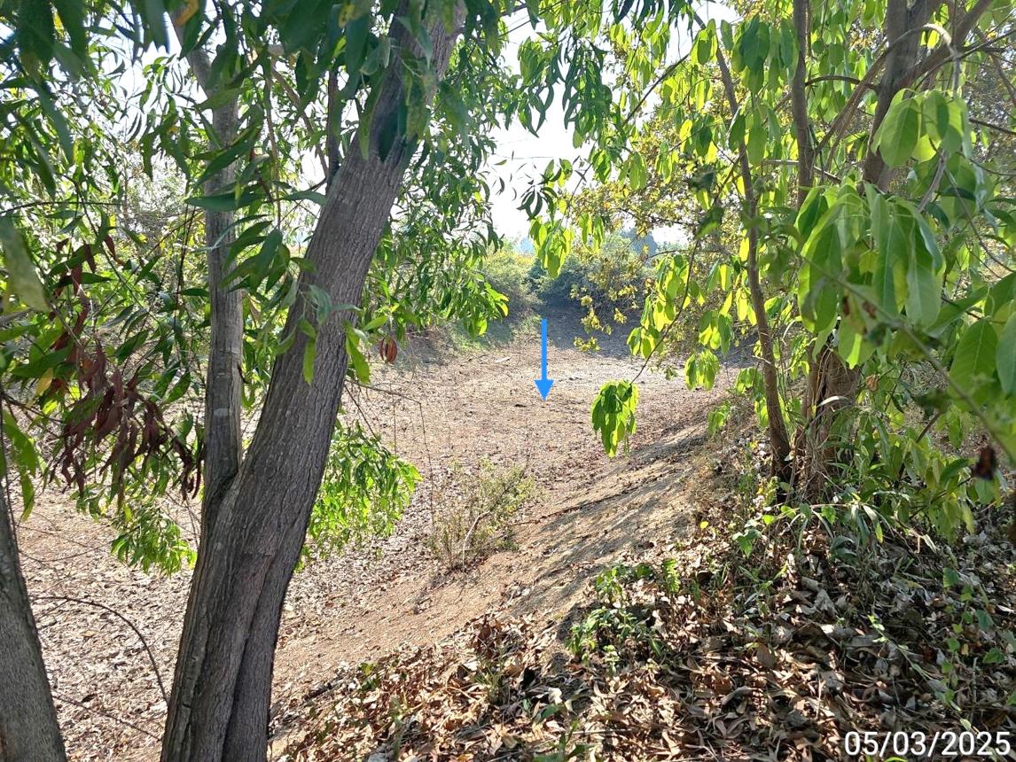 picture LAND for sale  Mae Raka Wang Thong Phitsanulok - 10/14