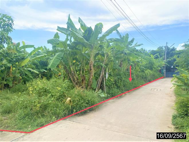 picture LAND for sale  Nai Muang Muang Khon Kaen Khon Kaen - 1/22