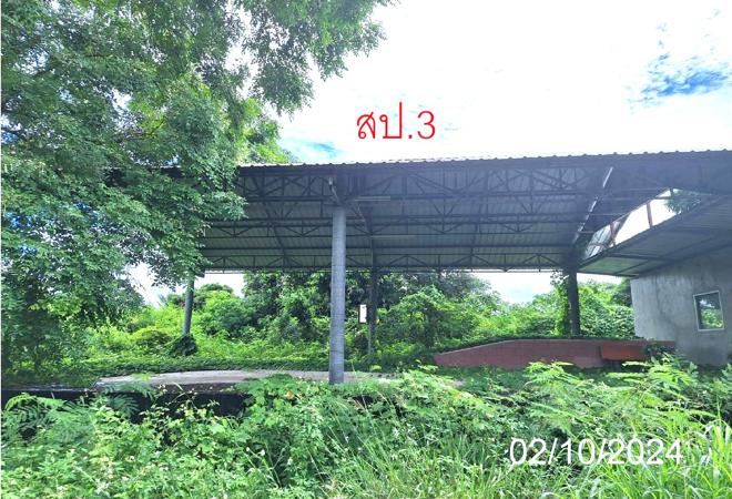 รูป โกดัง สำหรับขาย - หนองล่อง เวียงหนองล่อง ลำพูน - รูปที่ 12/44
