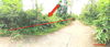 listing thumbnail image 19