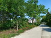 listing thumbnail image 13