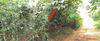 listing thumbnail image 37