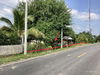 listing thumbnail image 19