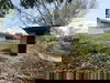 listing thumbnail image 20