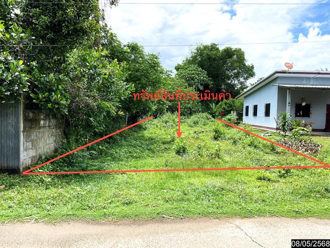 รูป ที่ดินว่างเปล่า สำหรับขาย - โคกหล่อ เมืองตรัง ตรัง - รูปที่ 1/14