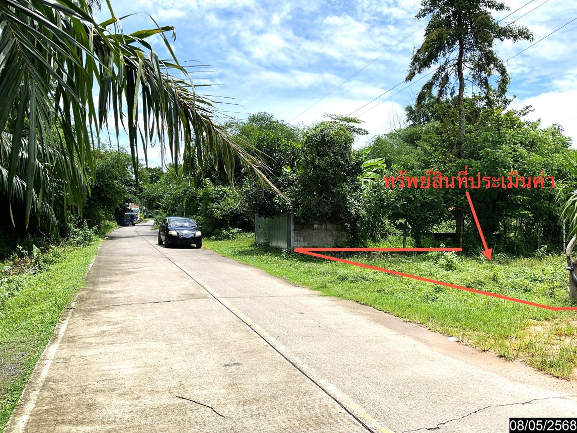 รูป ที่ดินว่างเปล่า สำหรับขาย - โคกหล่อ เมืองตรัง ตรัง - รูปที่ 8/14