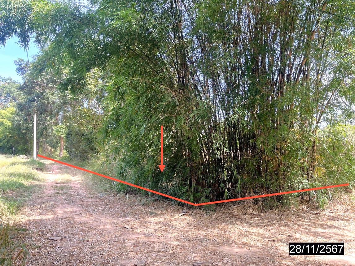 รูป บ้านเดี่ยว สำหรับขาย - ดงใหญ่ วาปีปทุม มหาสารคาม - รูปที่ 18/24