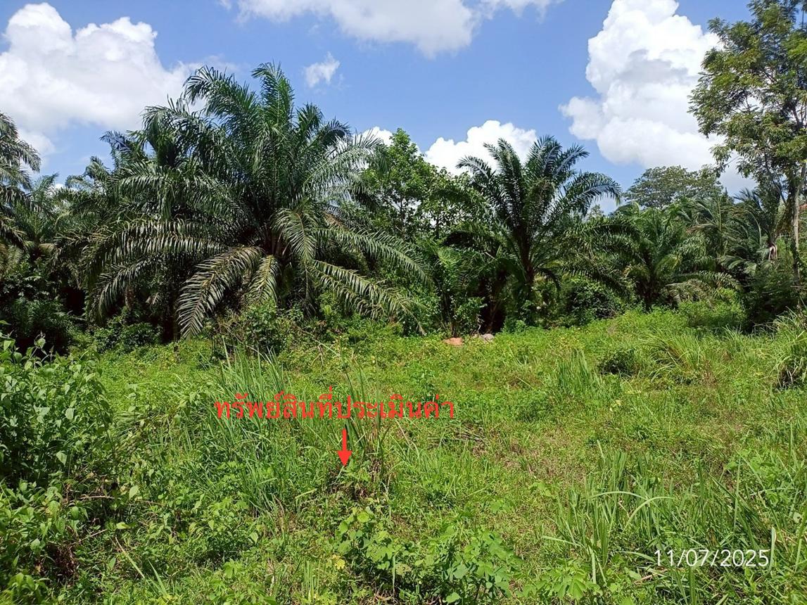 picture LAND for sale  Wang Maprang Nua Wang Wiset Trang - 17/24