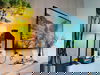 listing thumbnail image 12