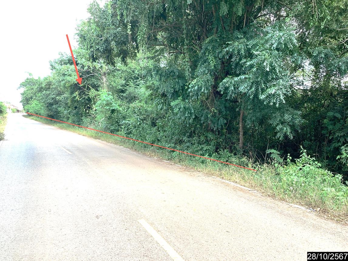 picture LAND for sale  Song Hong Muang Nong Khai Nongkai - 15/28