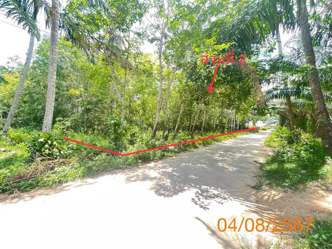 รูป บ้านเดี่ยว สำหรับขาย - คลองพน คลองท่อม กระบี่ - รูปที่ 8/24