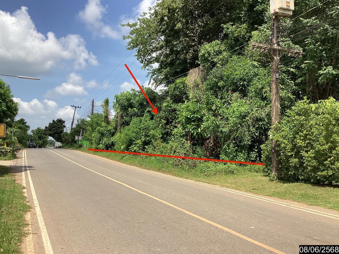picture LAND for sale  Song Dao Song Dao Sakon Nakhon - 10/18
