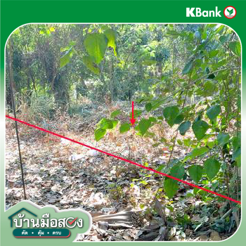 รูป ที่ดินว่างเปล่า สำหรับขาย - กาฬสินธุ์ เมืองกาฬสินธุ์ กาฬสินธุ์ - รูปที่ 16/18