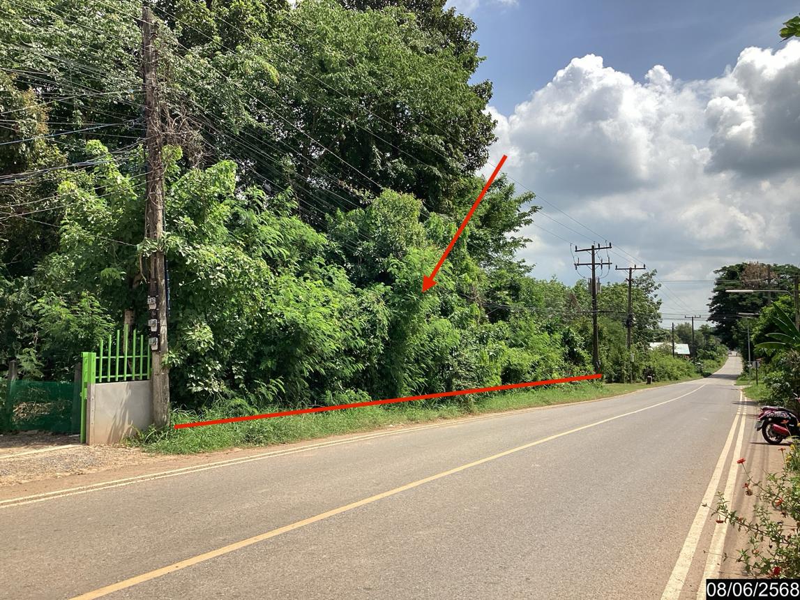 picture LAND for sale  Song Dao Song Dao Sakon Nakhon - 8/18
