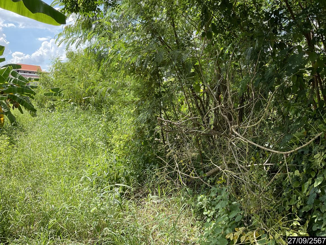 picture LAND for sale  Nai Muang Muang Khon Kaen Khon Kaen - 16/20