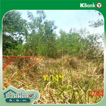 picture LAND for sale  Ban Sadat Muang Lampang Lamphang - 8/10