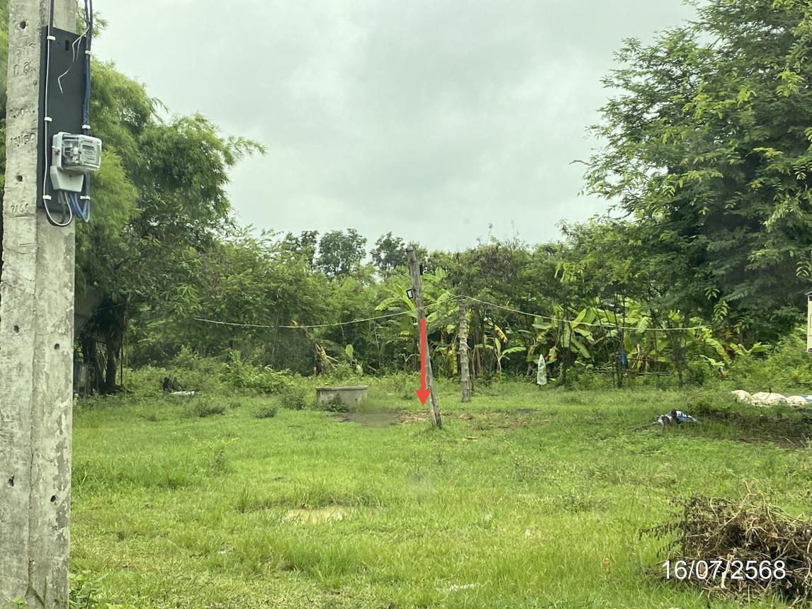 picture LAND for sale  Kham Yai Huai Mek Kalasin - 19/24