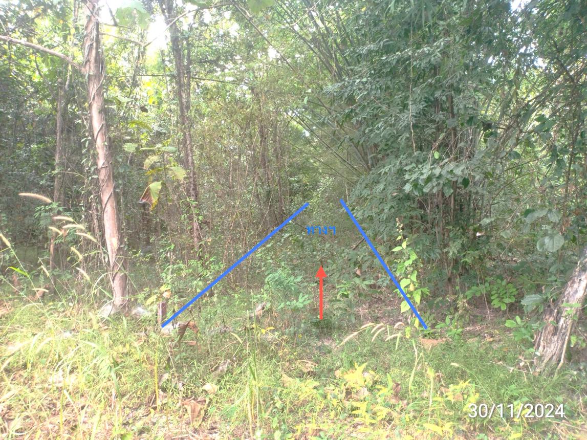 รูป ที่ดินว่างเปล่า สำหรับขาย - เตาปูน สอง แพร่ - รูปที่ 10/14